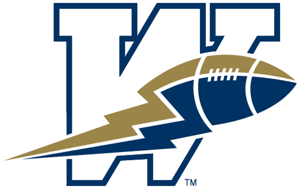 winnipeg blue bombers 1995-2004 primary logo iron on transfers for clothing